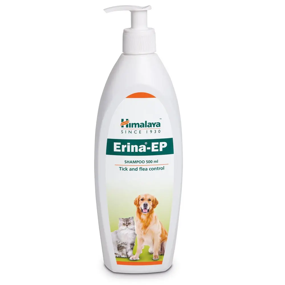 Flea Shampoo for Dogs