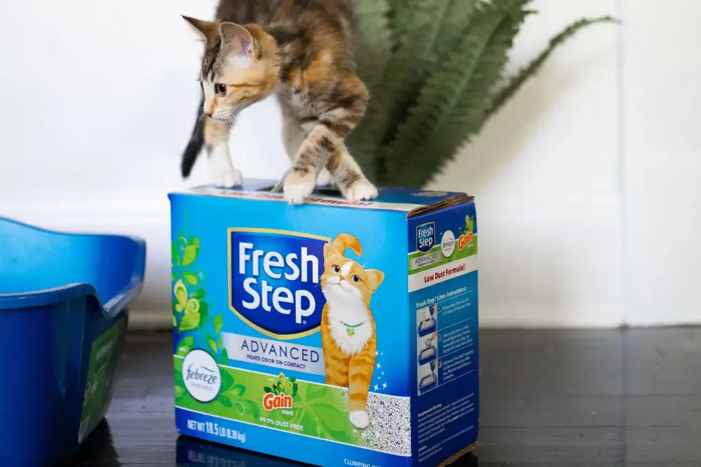 Odor-Free Cat Litter