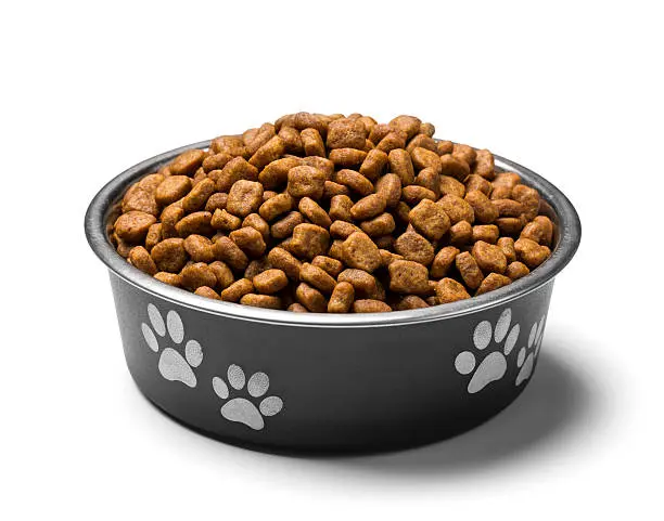 Dog Food