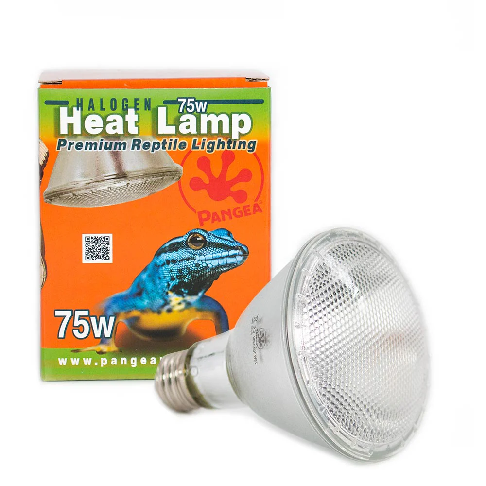 Reptile Heat Lamp