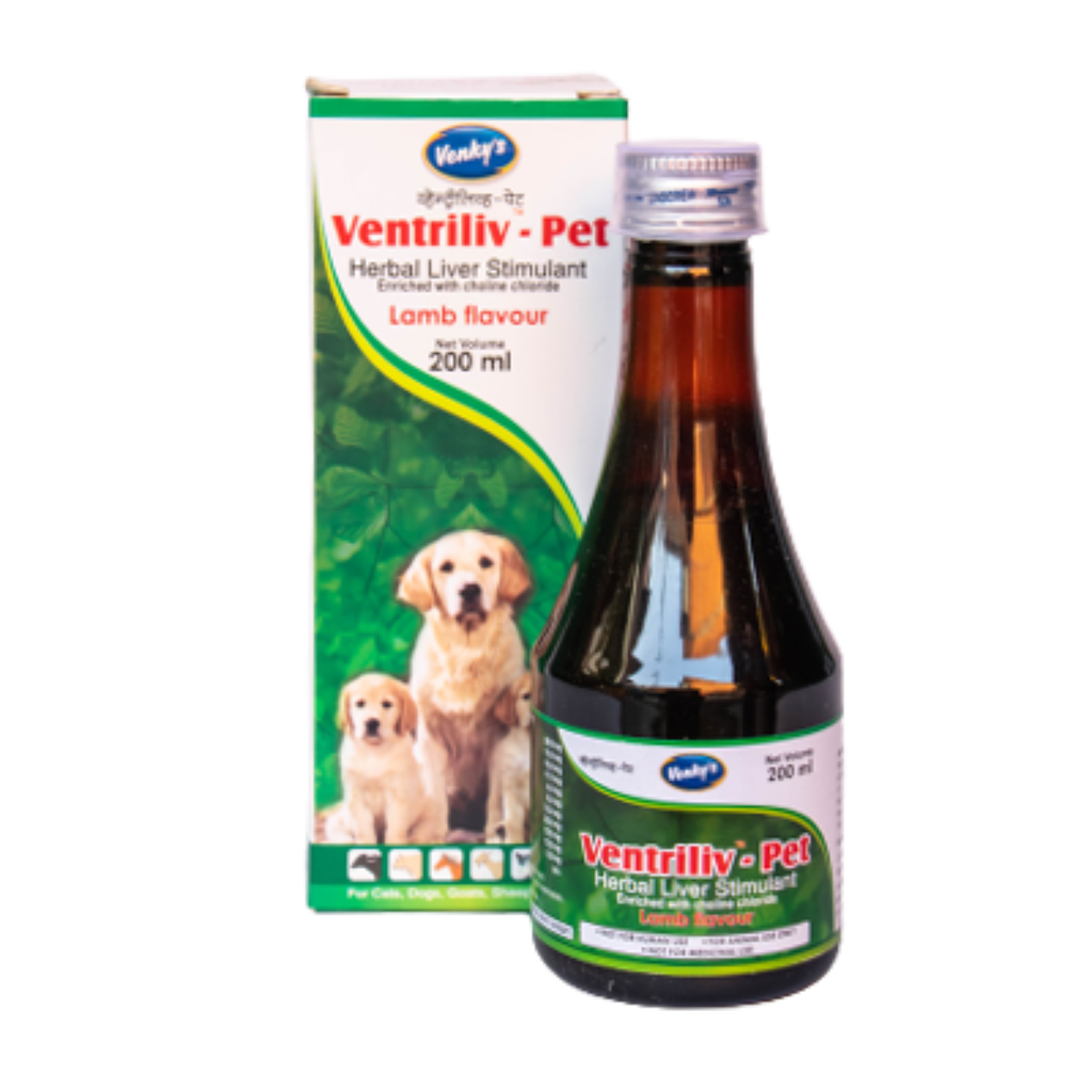 Ventriliv Syrup supplement 200ml