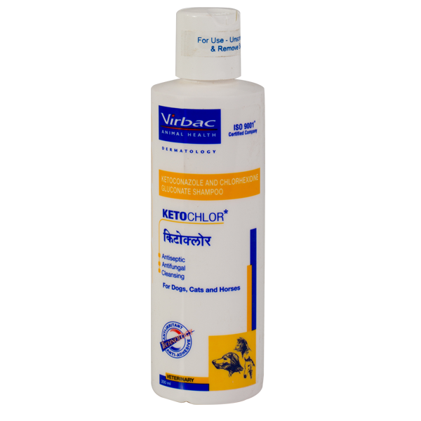 Ketocolre shampoo anti fungul supplement