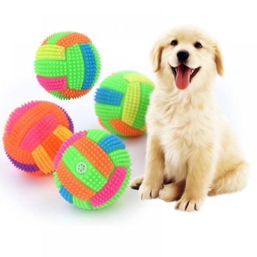 Pet toy ball rainbow