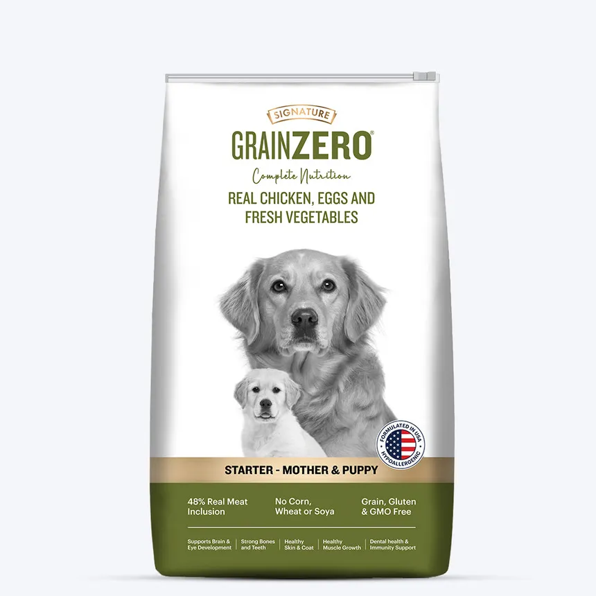 Grainzero dog food starter 1.2kg